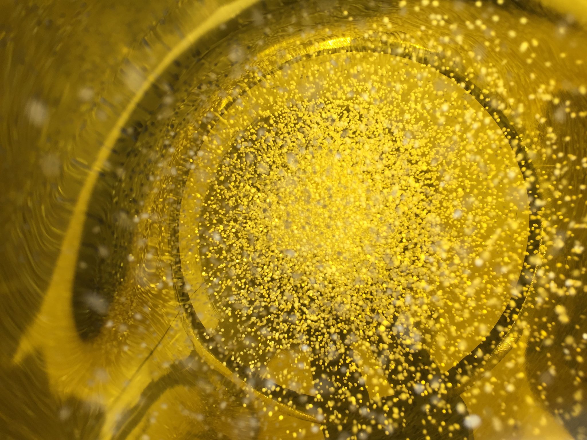 Taylor Renery Pulse Detonation Power Intensifies Organic Gasification Processes ...